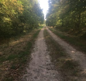 Le Viaduc de la Perrière - Coutansouze - 3