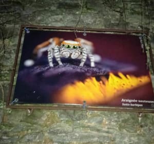 Beaulieu by night, par Le Breuil - Beaulieu-sur-Layon - 5