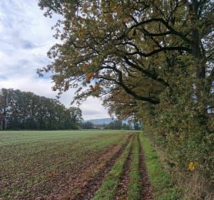 La nature, entre France et Suisse - Saint-Julien-en-Genevois - 3