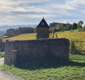Cœur beaujolais - Villefranche-sur-Saône - 5