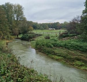 La nature, entre France et Suisse - Saint-Julien-en-Genevois - 5