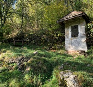 Balade en vallée d’Aulps - Saint-Jean-d'Aulps - 4