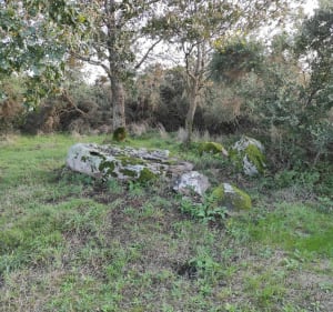 Entre Dolmen et l'océan à Saint Brévin l'Océan - Saint-Brevin-les-Pins - 3