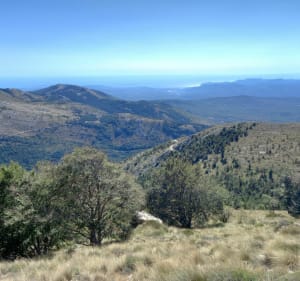 Le sommet du Robion - Castellane - 3