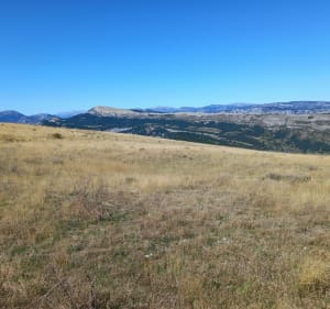 Le sommet du Robion - Castellane - 5