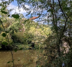 De Vertou à la La Haie-Fouassière par le Château Thebaud Sèvre et Maine - Vertou - 3