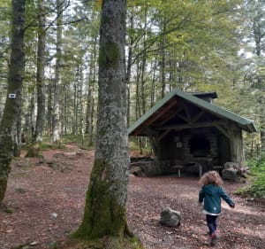 Maison de la nature du Rothenbach depuis le col de Bramont - La Bresse - 3