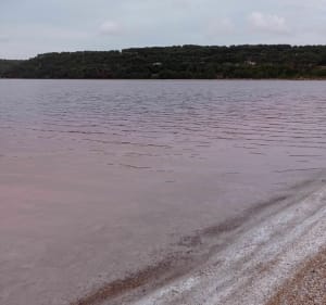 Tour des étangs de Lavalduc et Engrenier de Istres Fos-sur-Mer - Istres - 5