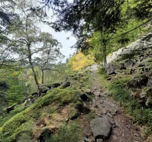 Maison de la nature du Rothenbach depuis le col de Bramont - La Bresse - 5