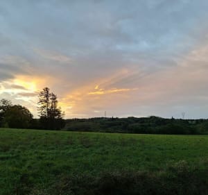 Superbes aurores et paysages à Moidieu-Détourbe - Moidieu-Détourbe - 3