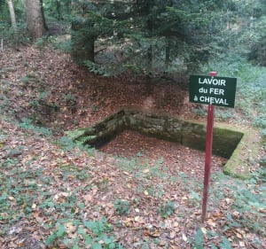 Balade en forêt des Colettes - Coutansouze - 4