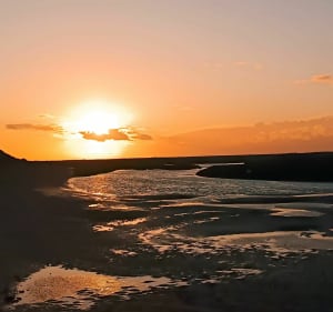 En passant par les marais Cayeux-sur-Mer - Lanchéres - 3