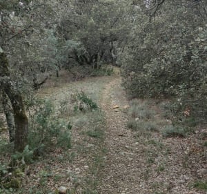 Balade VTT à Oraison, par le décollage des antennes et les Hauts du Vésier - Oraison - 3