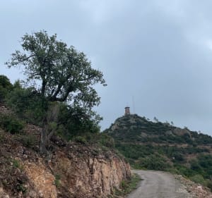 Mont Vinaigre et l’Esterel au départ du Col du Testanier - Fréjus - 3
