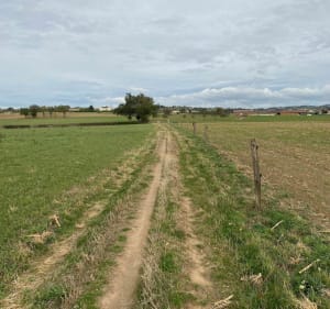 Balade de La Fouillouse vers St Galmier - La Fouillouse - 5