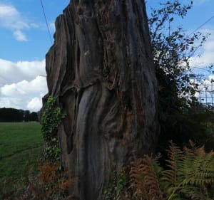 Monument Des Alliés, par les Luères à vélo - Céline - 3