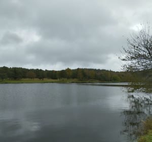 Balade autour de l'eau - Sylvie - 3