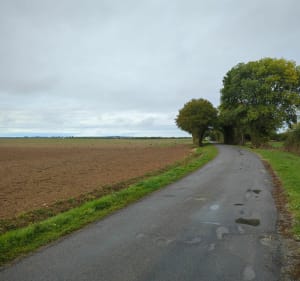 De plaines en plaines autour de Secondigné Sur Belle - Secondigné-sur-Belle - 5