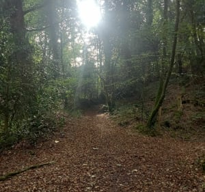 Entre rivière du Leff et ruisseau de Poul Jaudour - Quemper-Guézennec - 5