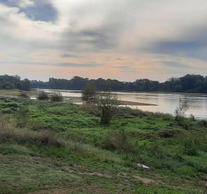 Bords de l'Authion et de la Loire - Les Ponts-de-Cé - 3