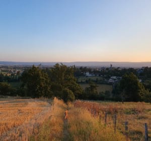 Les Trois Croix et vue sur la plaine du Forez - Saint-Galmier - 5