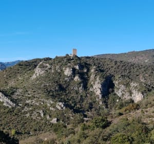 Rasiguères - Rasiguères - 4