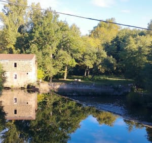 Panoramas et campagne Réalmontaise - Réalmont - 5