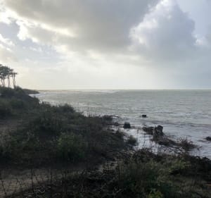 Tour de la forêt de la Coubre - Les Mathes - 5