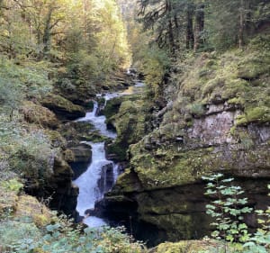Le Rocher des Commères et la Perte de l'Ain - Bourg-de-Sirod - 5