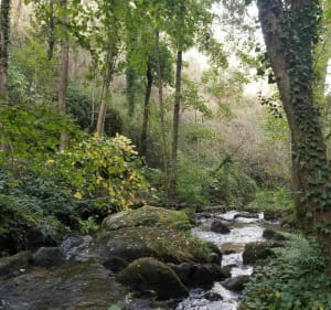 Boucle au départ de Pélussin - Pélussin - 5