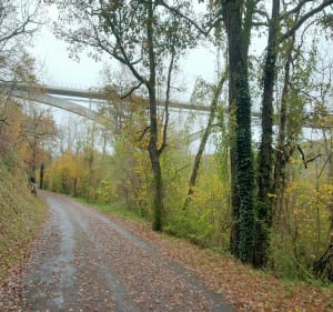 Viaduc de l'Anguienne - Soyaux - 3