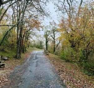 Viaduc de l'Anguienne - Soyaux - 4