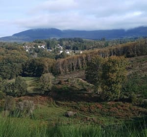 Sur les traces du camps des Maquis au Domaine Des Monedieres - Orliac-de-Bar - 4