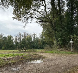 Randonnée VTT à Waldeck, par Butte des Huns - Riedisheim - 5