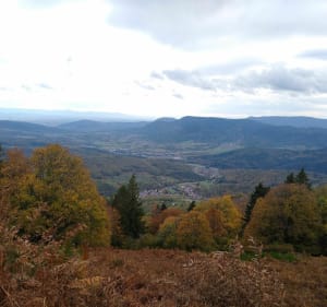 Grande boucle autour du Hohwald - Le Hohwald - 3