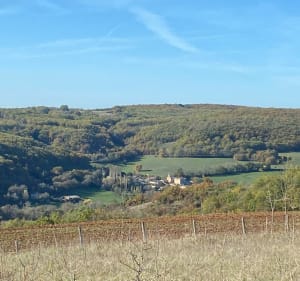 De Salvagnac à Puycelsi - Salvagnac - 5