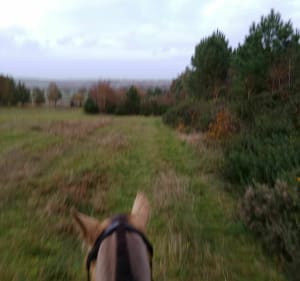 Autour des Landes de Cojoux - Saint-Just - 4