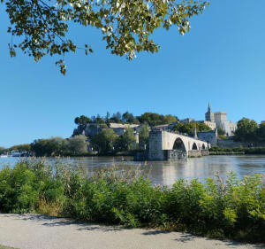 Île de la Barthelasse - Avignon - 4