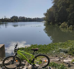 Île de la Barthelasse - Avignon - 3