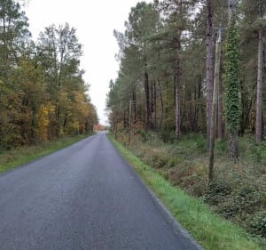 Boucle par Challes, Le Breil, Ardenay au départ de Parigné - Parigné-l'Évêque - 4