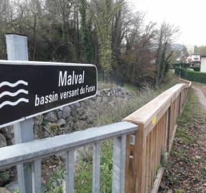 Balade dans les sous-bois de la Fouillouse - La Fouillouse - 5