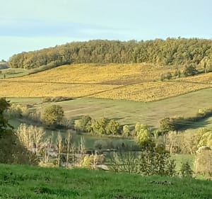 Belle balade autour de Flavigny - Flavigny-sur-Ozerain - 4