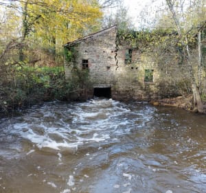 Boucle de Chaillé-sous-les-Ormeaux - Rives-de-l'Yon - 3