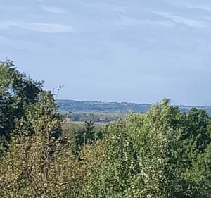 Autour de Montbartier entre forêt et canal. - Montbartier - 3