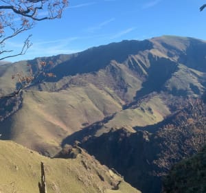 Pic d’Irau 1152 m en boucle - Lecumberry - 4