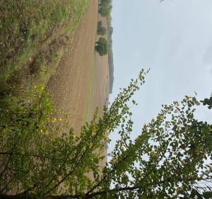 Autour de Saint Martin de Mours - Rabastens - 3