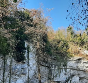 Boucle au départ d'Hautot-sur-Seine vers Val de la Haye - Hautot-sur-Seine - 5