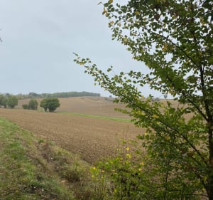 Autour de Saint Martin de Mours - Rabastens - 6