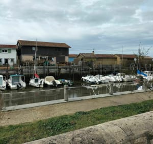 De Lanton à Taussat, vélodyssée et littoral - Lanton - 4