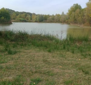 Tour des plans d'eau depuis Lauraguel par Lac Pinilla - Lauraguel - 3
